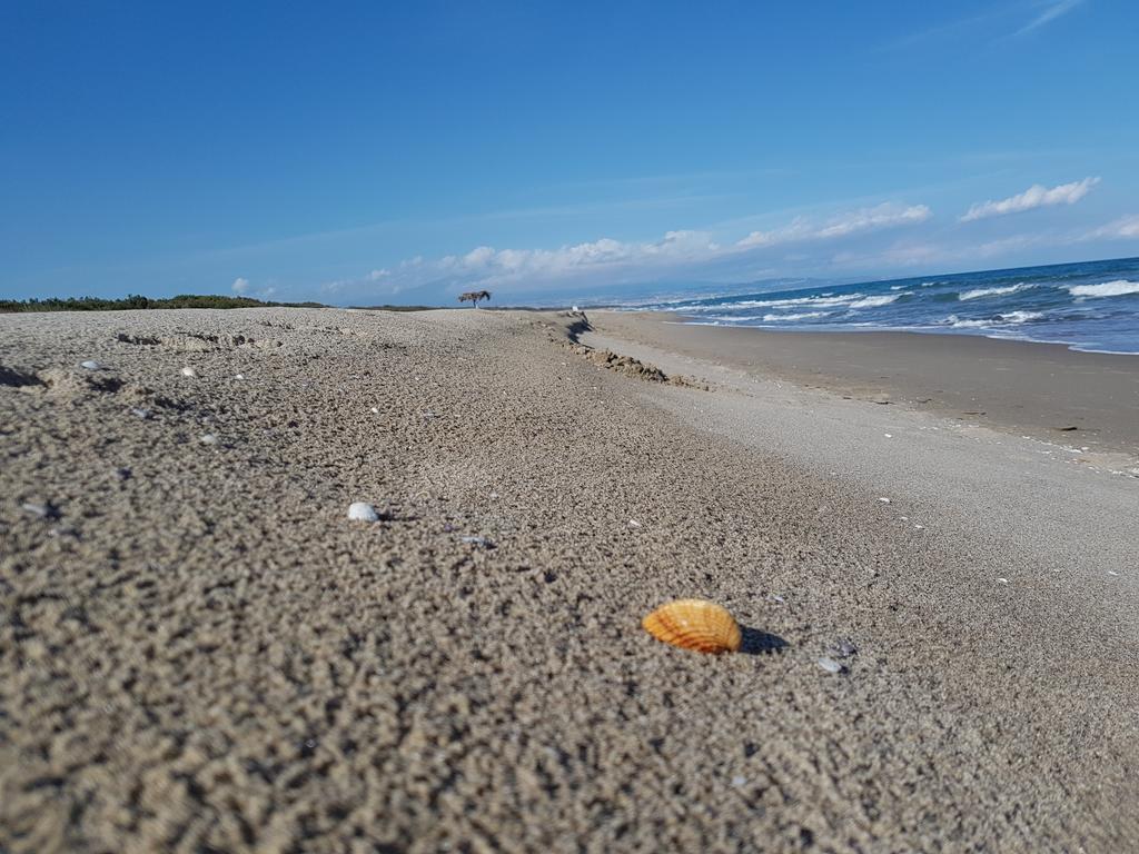 Villa Sulla Spiaggia Tra Catania E Siracusa Agnone Bagni Extérieur photo